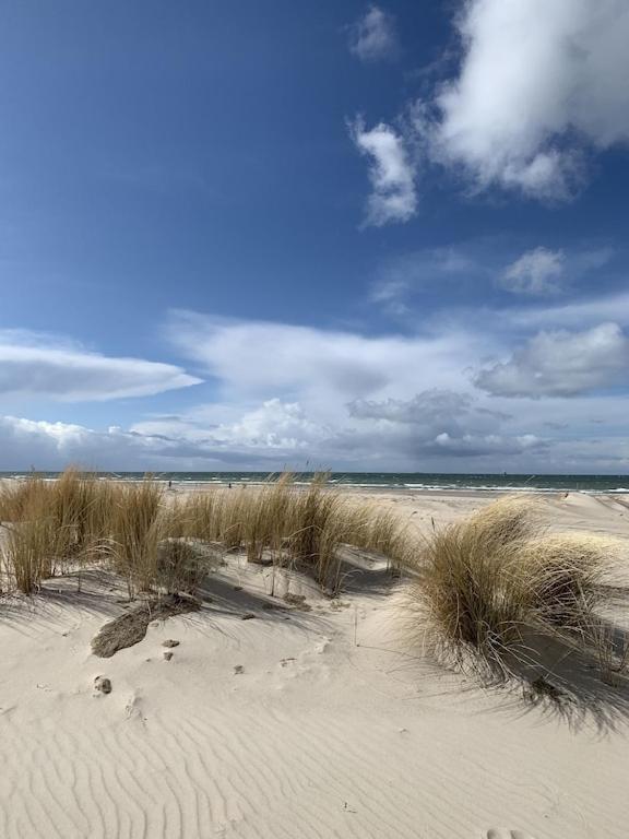 Seeblick Warnemuende - Mit Meerblick Und Balkon Direkt Am Fuer 2-4 Pers Apartment *